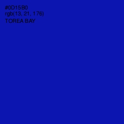 #0D15B0 - Torea Bay Color Image