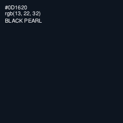 #0D1620 - Black Pearl Color Image