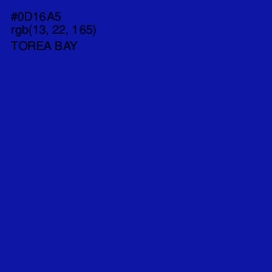 #0D16A5 - Torea Bay Color Image