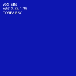 #0D16B0 - Torea Bay Color Image