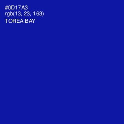 #0D17A3 - Torea Bay Color Image