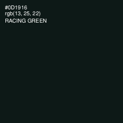 #0D1916 - Racing Green Color Image