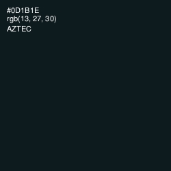 #0D1B1E - Aztec Color Image