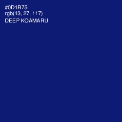 #0D1B75 - Deep Koamaru Color Image