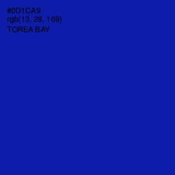 #0D1CA9 - Torea Bay Color Image