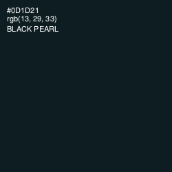 #0D1D21 - Black Pearl Color Image