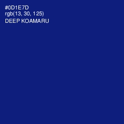 #0D1E7D - Deep Koamaru Color Image