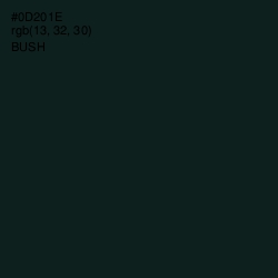 #0D201E - Bush Color Image