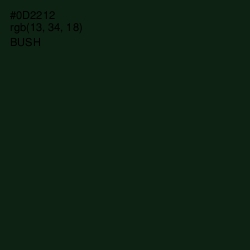 #0D2212 - Bush Color Image