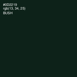 #0D2219 - Bush Color Image