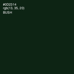 #0D2314 - Bush Color Image