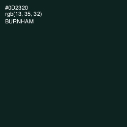 #0D2320 - Burnham Color Image