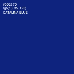 #0D237D - Catalina Blue Color Image