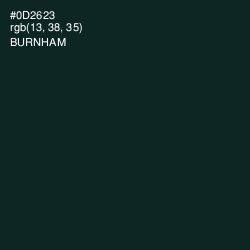 #0D2623 - Burnham Color Image