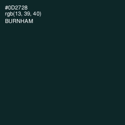 #0D2728 - Burnham Color Image