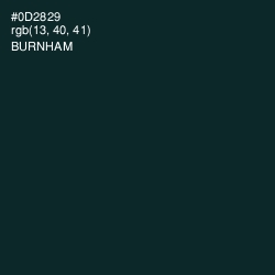 #0D2829 - Burnham Color Image