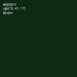 #0D2911 - Bush Color Image