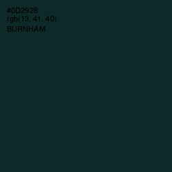 #0D2928 - Burnham Color Image