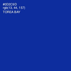 #0D2C9D - Torea Bay Color Image