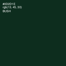 #0D2D1E - Bush Color Image