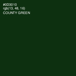 #0D3010 - County Green Color Image