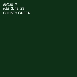 #0D3017 - County Green Color Image
