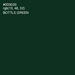 #0D3020 - Bottle Green Color Image