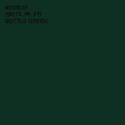 #0D3022 - Bottle Green Color Image