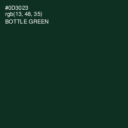 #0D3023 - Bottle Green Color Image