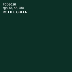 #0D3026 - Bottle Green Color Image