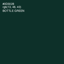 #0D3028 - Bottle Green Color Image