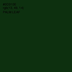 #0D310E - Palm Leaf Color Image