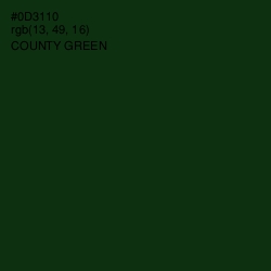 #0D3110 - County Green Color Image