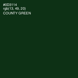 #0D3114 - County Green Color Image
