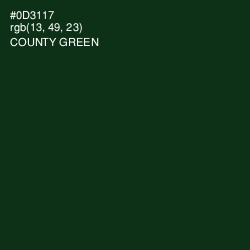 #0D3117 - County Green Color Image