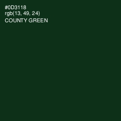 #0D3118 - County Green Color Image