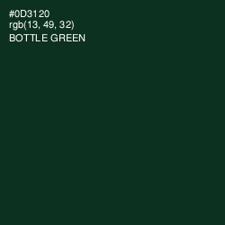 #0D3120 - Bottle Green Color Image