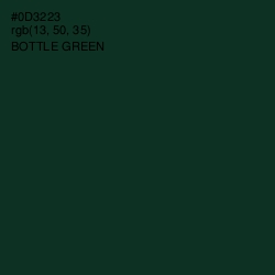 #0D3223 - Bottle Green Color Image