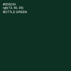 #0D3224 - Bottle Green Color Image