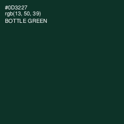 #0D3227 - Bottle Green Color Image
