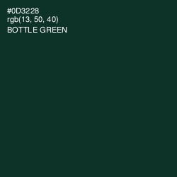 #0D3228 - Bottle Green Color Image