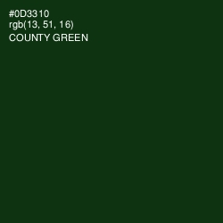 #0D3310 - County Green Color Image