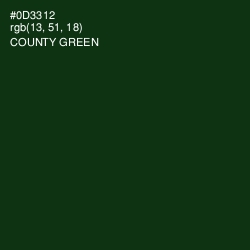 #0D3312 - County Green Color Image