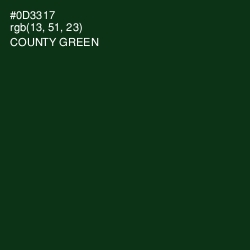 #0D3317 - County Green Color Image