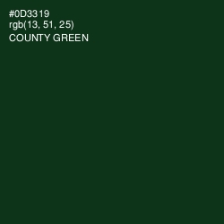#0D3319 - County Green Color Image