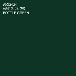 #0D3424 - Bottle Green Color Image