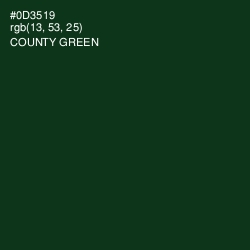 #0D3519 - County Green Color Image