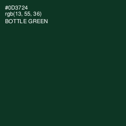 #0D3724 - Bottle Green Color Image