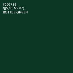 #0D3725 - Bottle Green Color Image