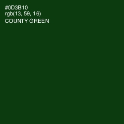 #0D3B10 - County Green Color Image